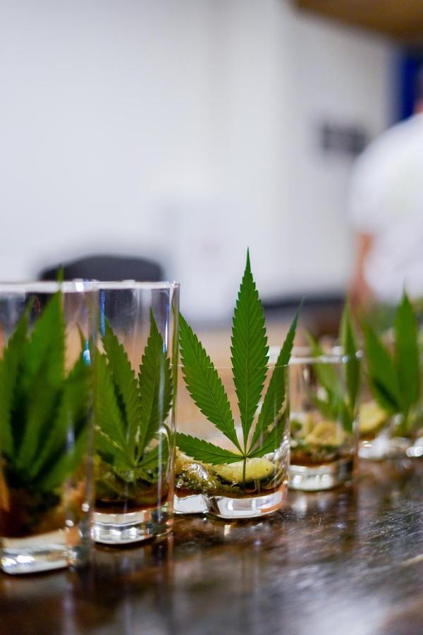 Cannatel Exclusive Hotel El Socorro Esterno foto