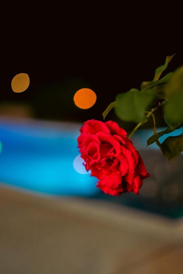 Cannatel Exclusive Hotel El Socorro Esterno foto